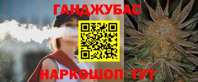 дмт Гай