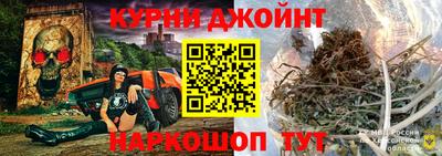 дмт Гай