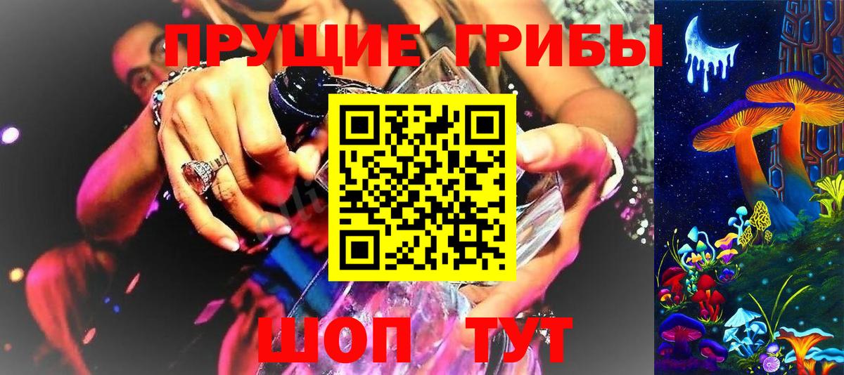 Галлюциногенные грибы MAGIC MUSHROOMS Горно-Алтайск