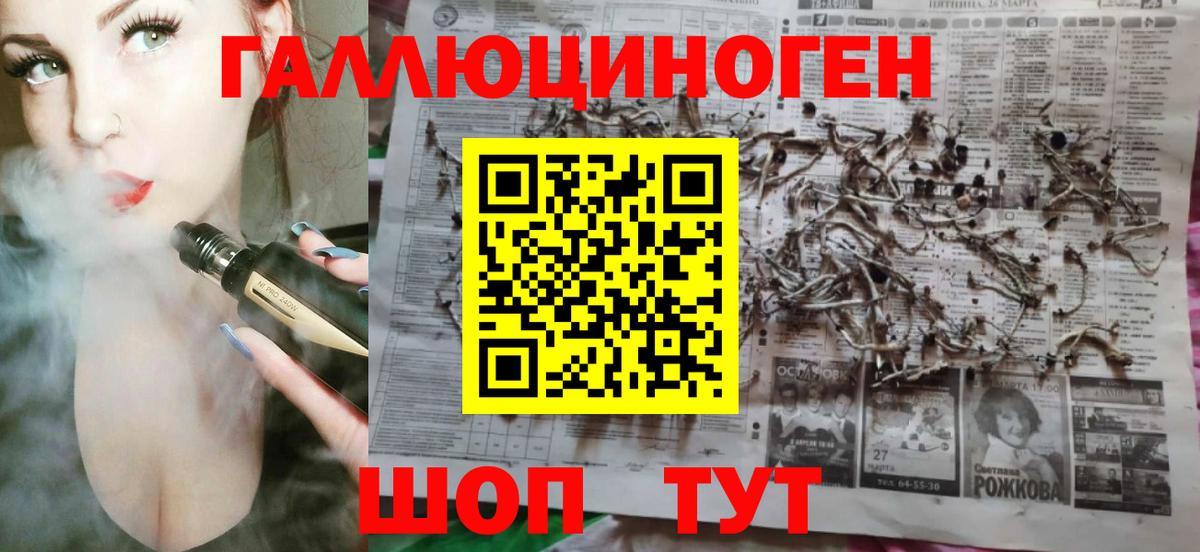 Псилоцибиновые грибы MAGIC MUSHROOMS  Вход с VPN  Горно-Алтайск 
